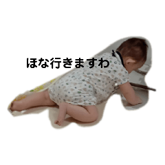 hayahayapipi
