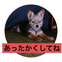 chie_20211029005243