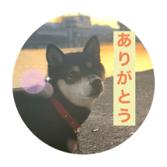 Hikari_20211028194109