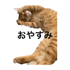 kero_20211028215118