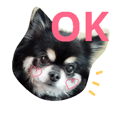 mydog is justice