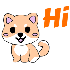cute shiba.
