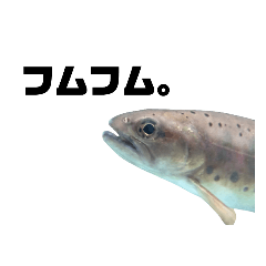 sdksticker_20211028190746