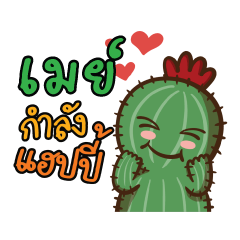 May Love Cactus