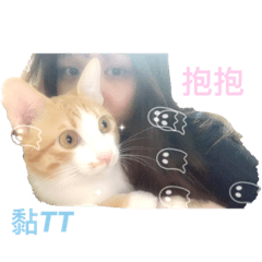可愛的莫莫蒂蒂寶貝喵