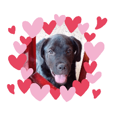 piano_20211028171157