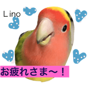 love bard