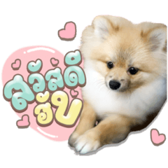 Iamnook_20211028213229