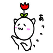 cathanako