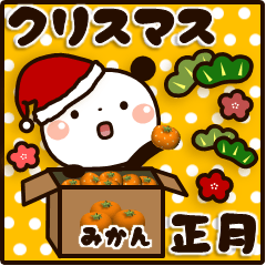 ぱんちゃんの冬【クリスマス＆正月】