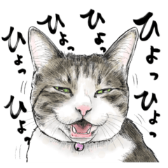 Easy To Use Real Cat Stickers 2 Line Stickers Line Store Easy To Use Real Cat Stickers 2 Line Stickers Line Store