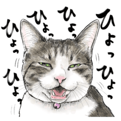 Easy to use Real cat stickers 2 – LINE stickers | LINE STORE