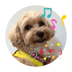 Nozomi_20211029174258