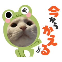 arisa_20211029174941