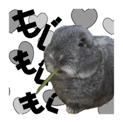 yamada_20211029175333