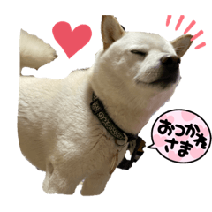 tomomi_20211029200546