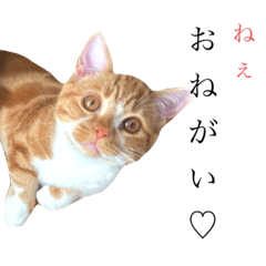 chihiro_20211029203808