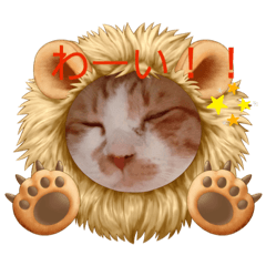 chibi_20211029224242