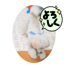 Aoi_20211029235015