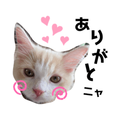 yukari_20211029180637