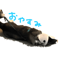 aoi_20211029