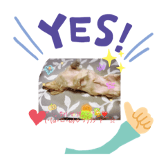 shiro_20211030085218 – LINE stickers | LINE STORE