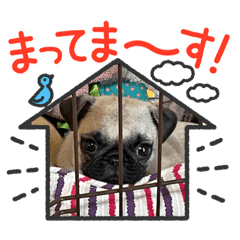 パグ Lineクリエイターズスタンプまとめ Stamplist パグ Lineクリエイターズスタンプまとめ Stamplist