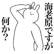 Ebihara's sticker(rabbit)