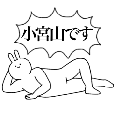Komiyama's sticker(rabbit)