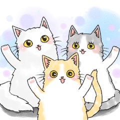 3 cats family