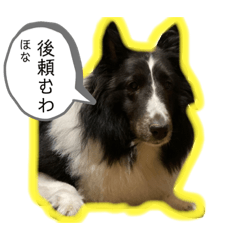 Nanami_20211030014554