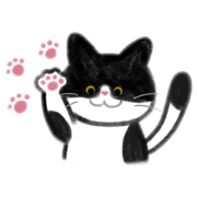 howa howa nyanko