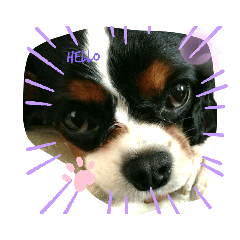 Cherry_20211030135459