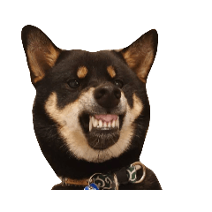 kazuki_20211030164905