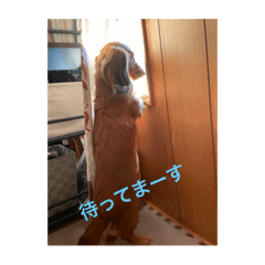 miki_20211031023752