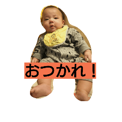 rikurino2017