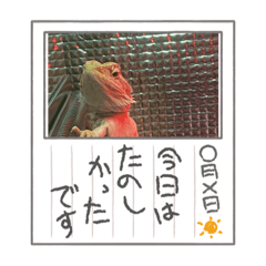 hiyori_20211031085418