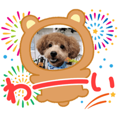 natuumi_20211030191927