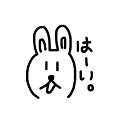 Rabbit daily talk