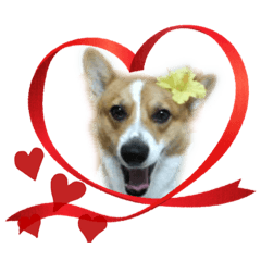 MATSU_20211031100746