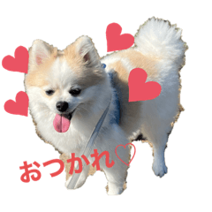kuu_20211031002816