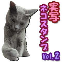 Cat Sticker Russian Blue 2