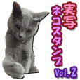 Cat Sticker Russian Blue 2