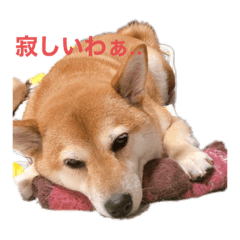 yuto_20211031093948