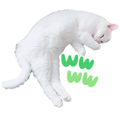 minorin_20211031100700