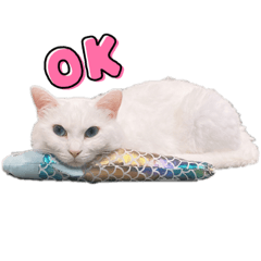 minorin_20211031085656