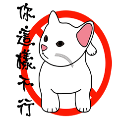 白白貓的生活玩樂