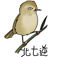 Bird expression