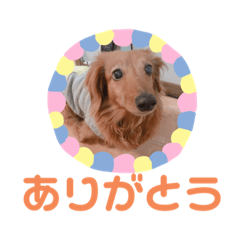eririn_20211030195901