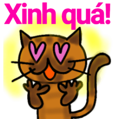 Vietnamese speaking cat 3
